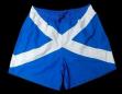 SALTIRE SWIM SHORT